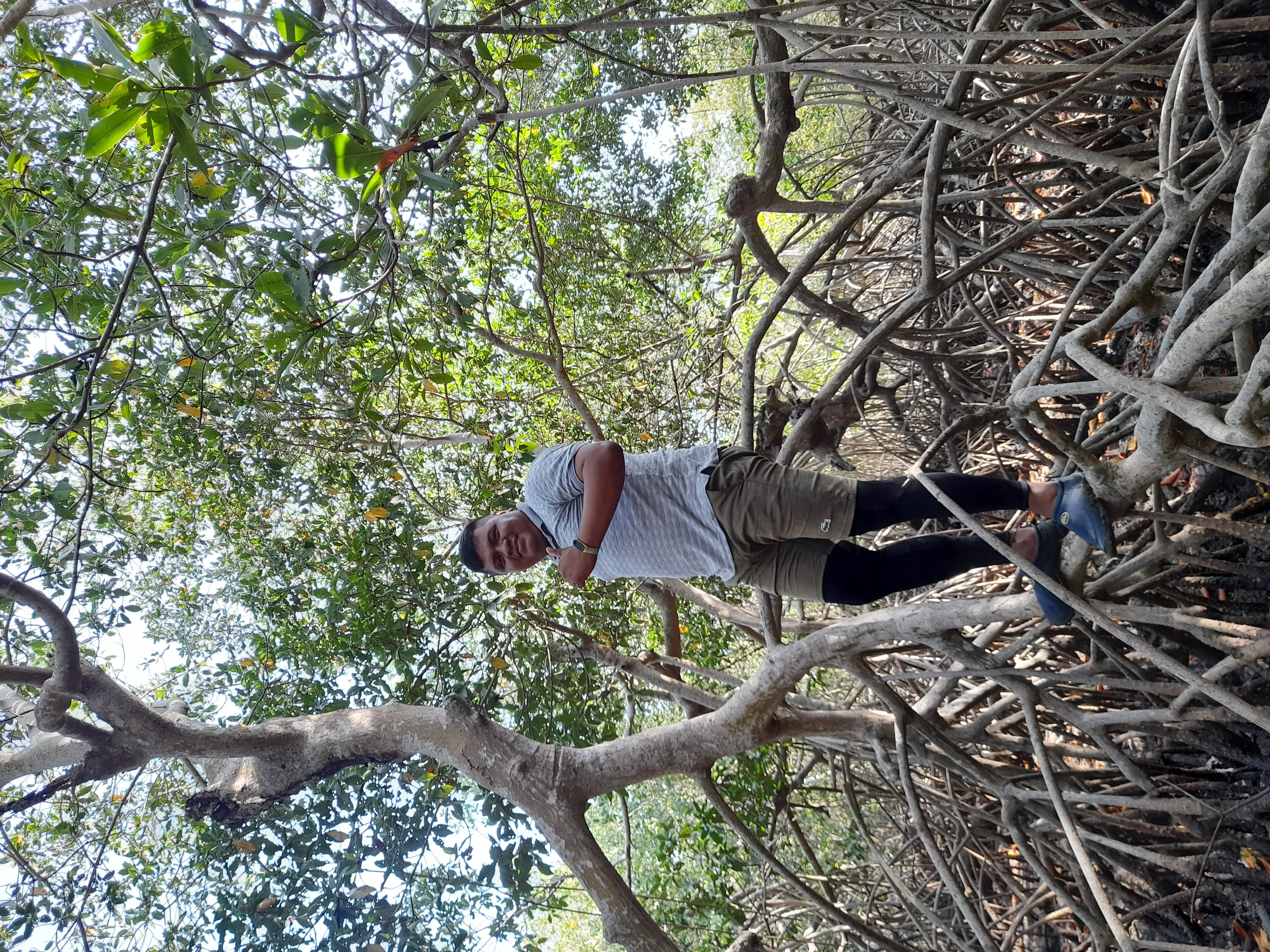 User profile picture