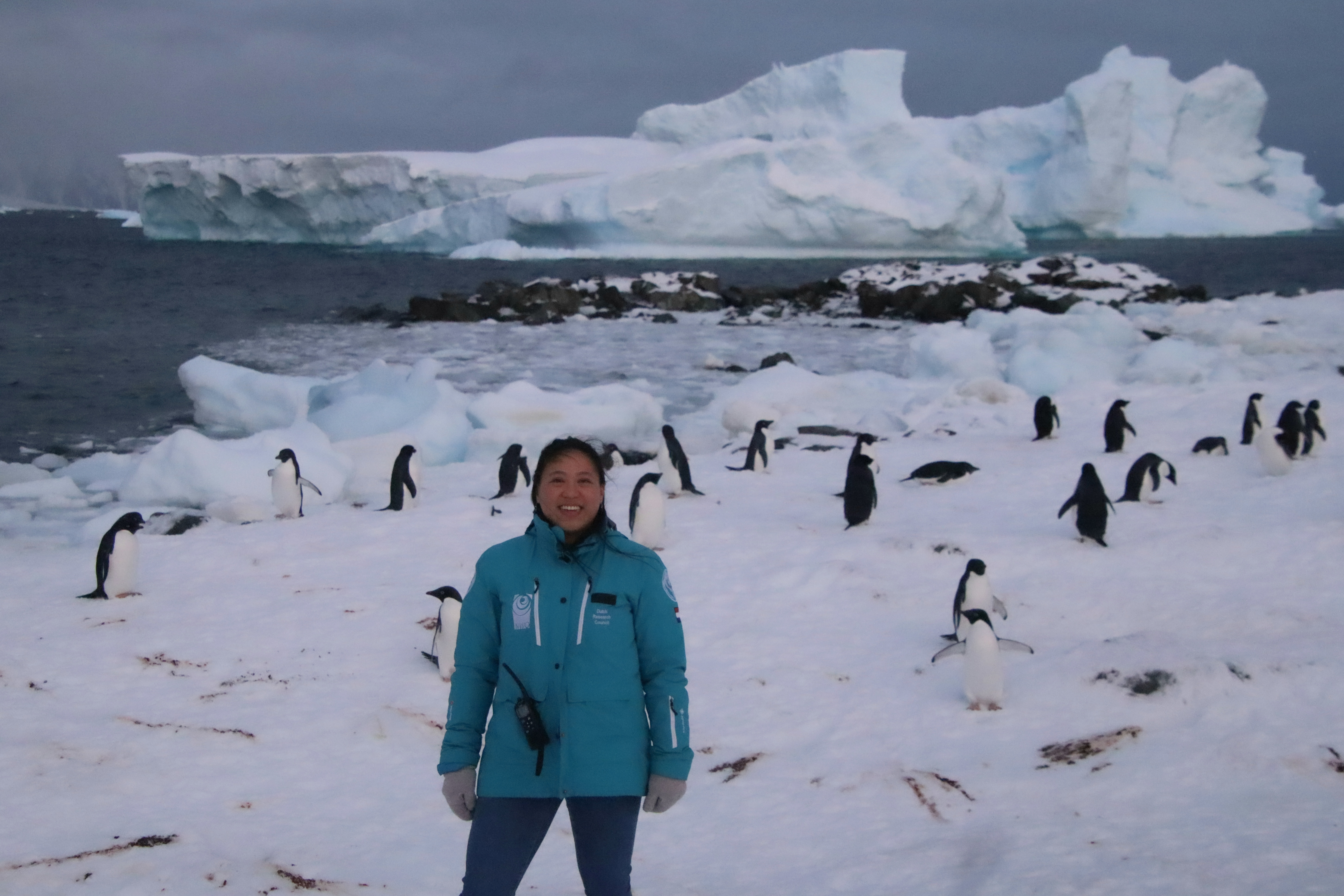 User profile picture