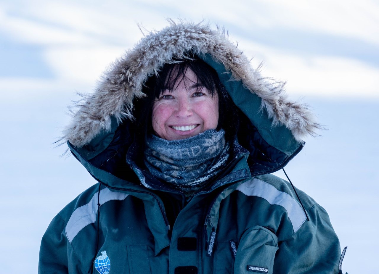 User profile picture